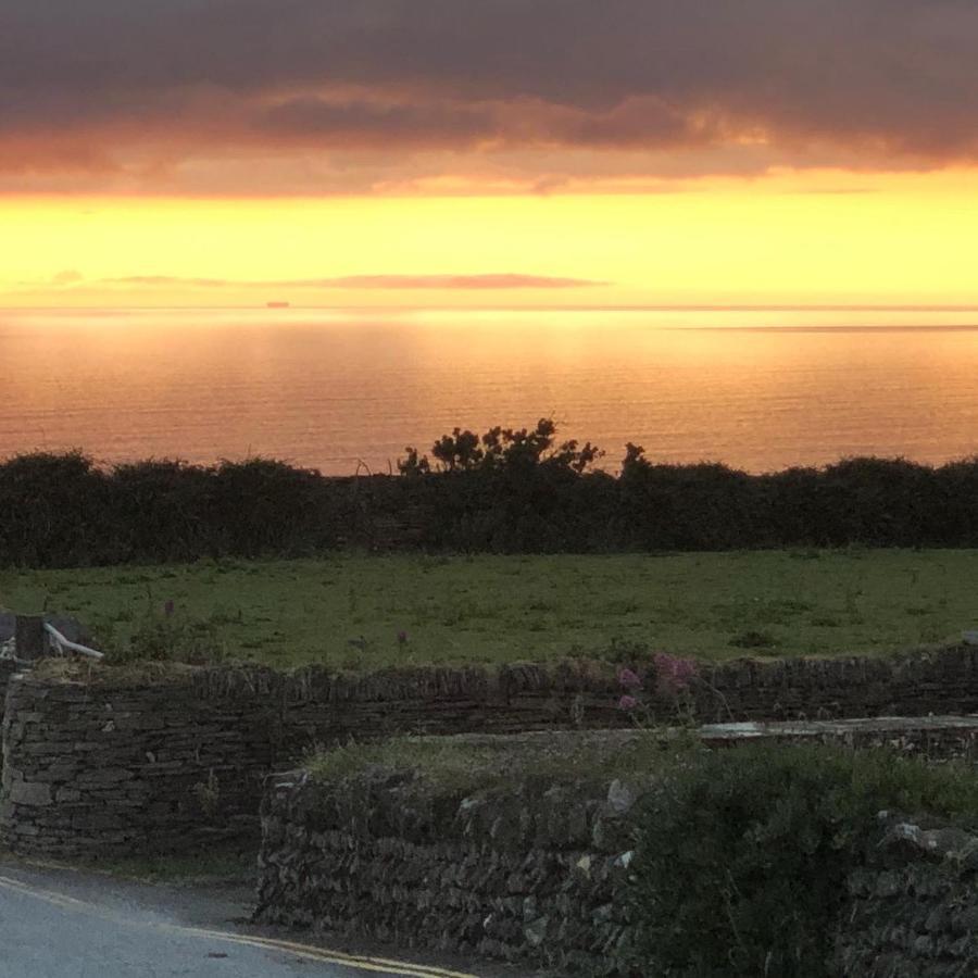Pendrin Guest House Tintagel Dış mekan fotoğraf